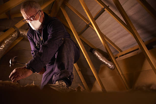 Best Cellulose Insulation in Elm Creek, NE